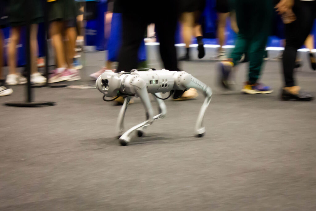 Unitree Go-1 walking robot at RTS